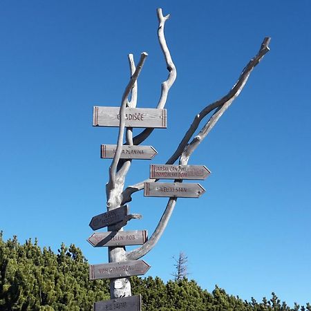 Chalet Zlatica Velika Planina Stahovica Екстериор снимка