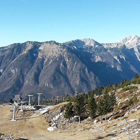 Chalet Zlatica Velika Planina Stahovica Екстериор снимка