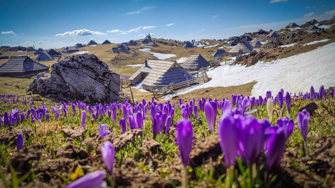 Chalet Zlatica Velika Planina Stahovica Екстериор снимка