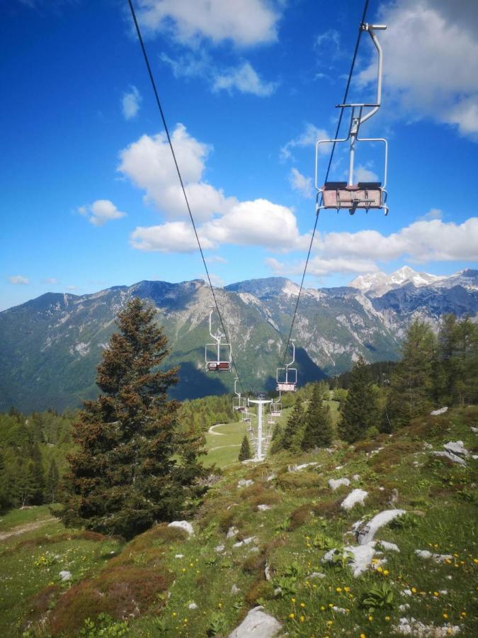 Chalet Zlatica Velika Planina Stahovica Екстериор снимка