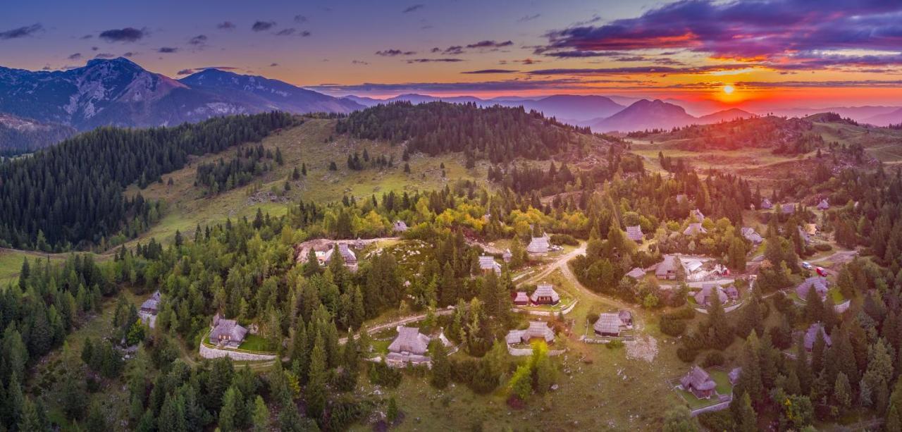 Chalet Zlatica Velika Planina Stahovica Екстериор снимка