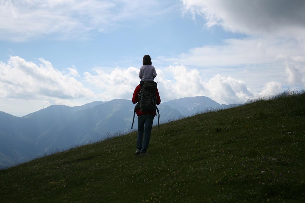 Chalet Zlatica Velika Planina Stahovica Екстериор снимка