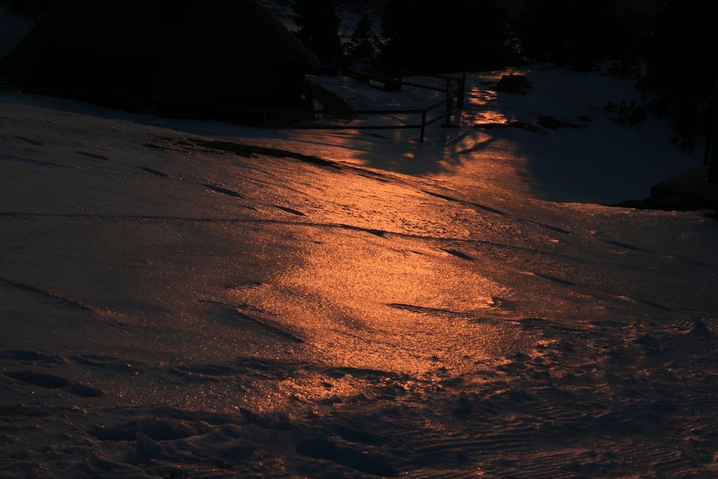 Chalet Zlatica Velika Planina Stahovica Екстериор снимка