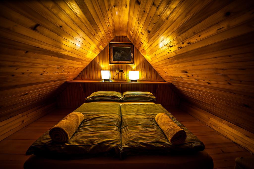 Chalet Zlatica Velika Planina Stahovica Екстериор снимка