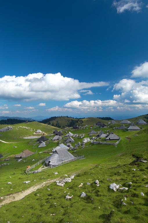 Chalet Zlatica Velika Planina Stahovica Екстериор снимка