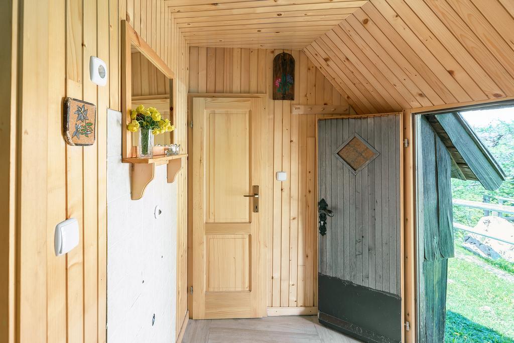 Chalet Zlatica Velika Planina Stahovica Екстериор снимка