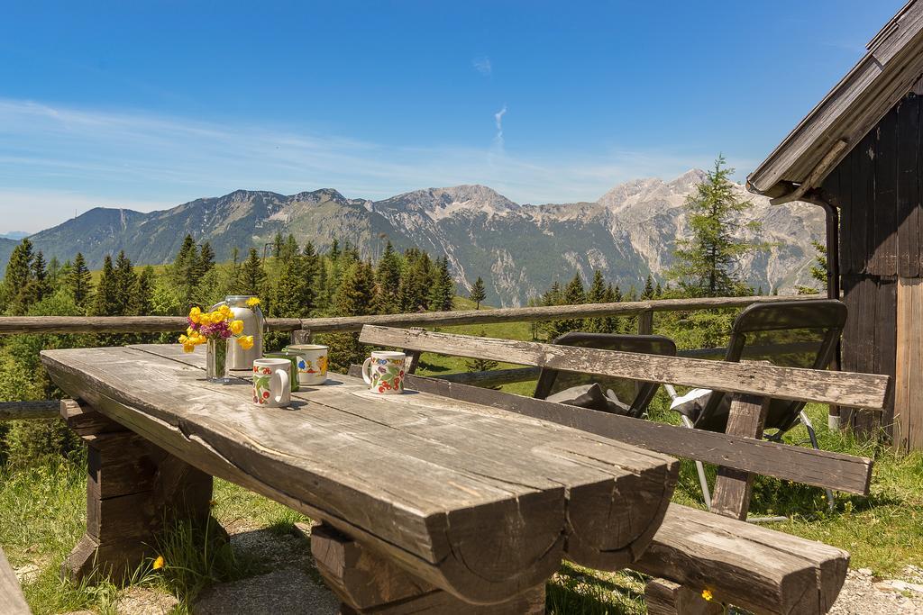 Chalet Zlatica Velika Planina Stahovica Екстериор снимка